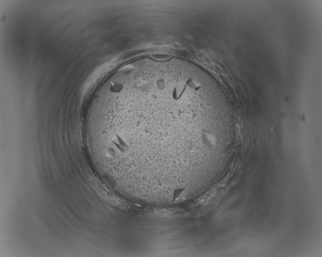 X0000074260149200609081745