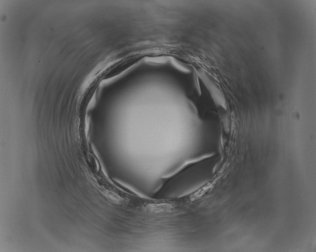 X0000074260150200609081745