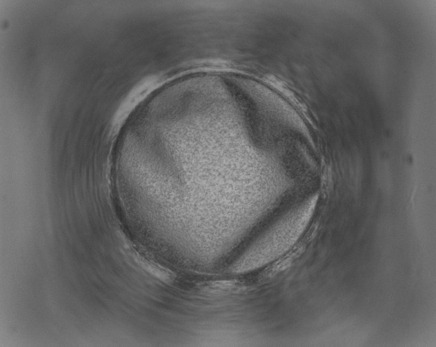 X0000074260151200609081745