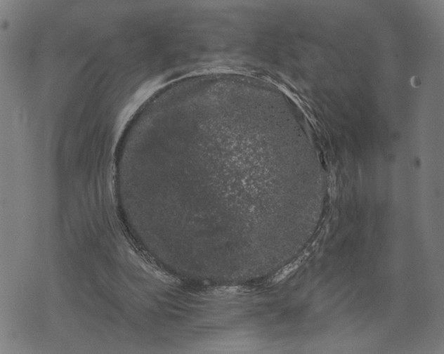 X0000074260152200609081745