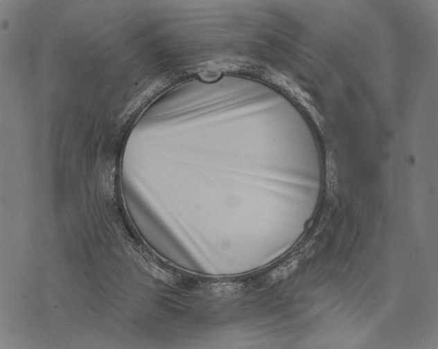 X0000074260153200609081745