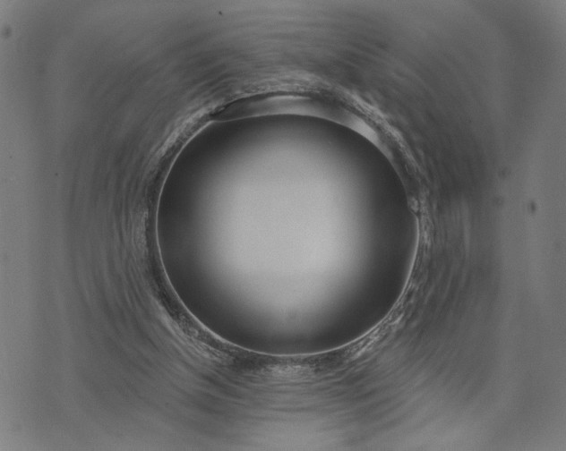 X0000074260154200609081745