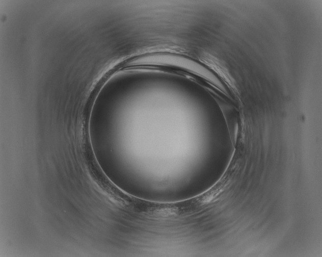 X0000074260156200609081745