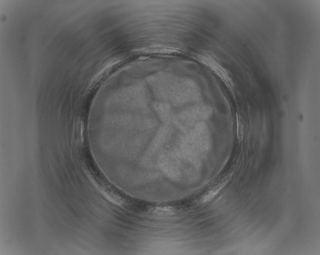 X0000074260157200609081745