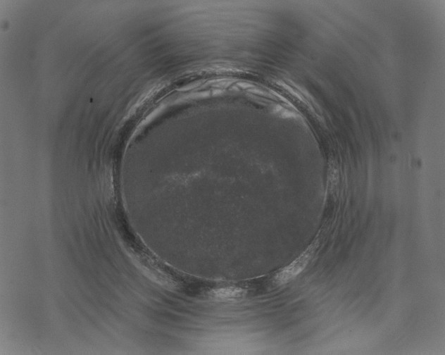 X0000074260158200609081745