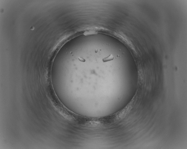 X0000074260159200609081745