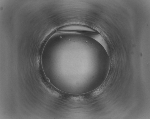 X0000074260160200609081745