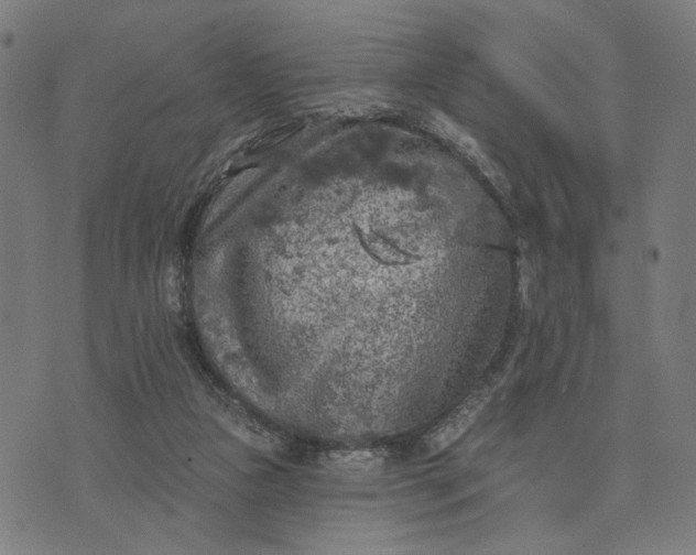 X0000074260161200609081745