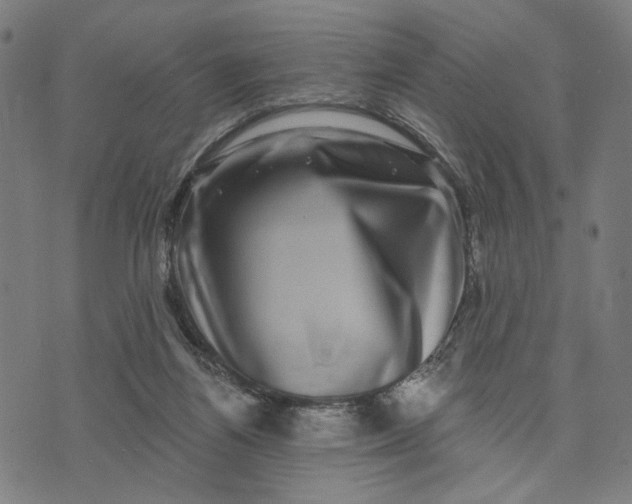 X0000074260164200609081745