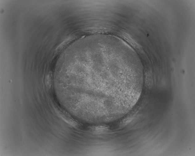 X0000074260165200609081745