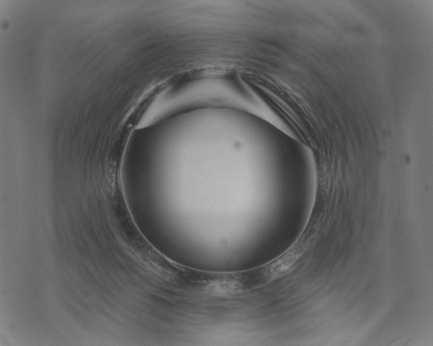 X0000074260168200609081745