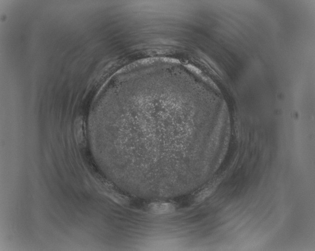 X0000074260169200609081745