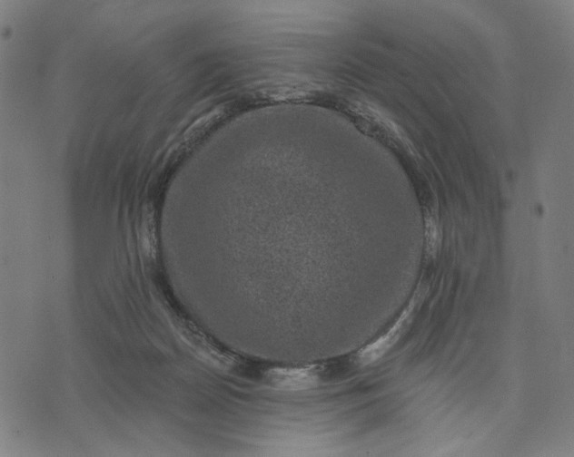 X0000074260170200609081745