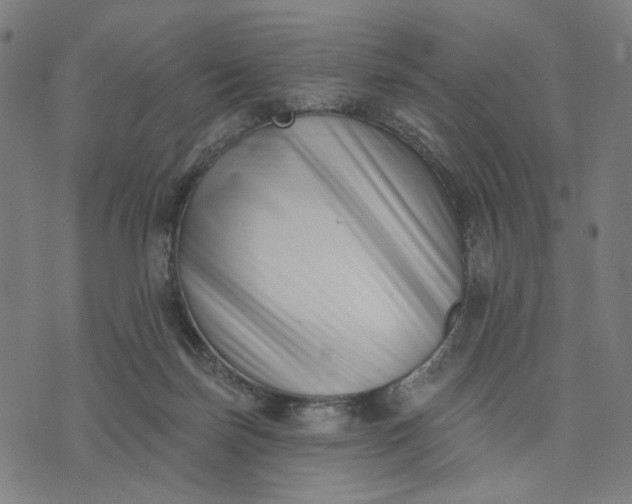 X0000074260171200609081745