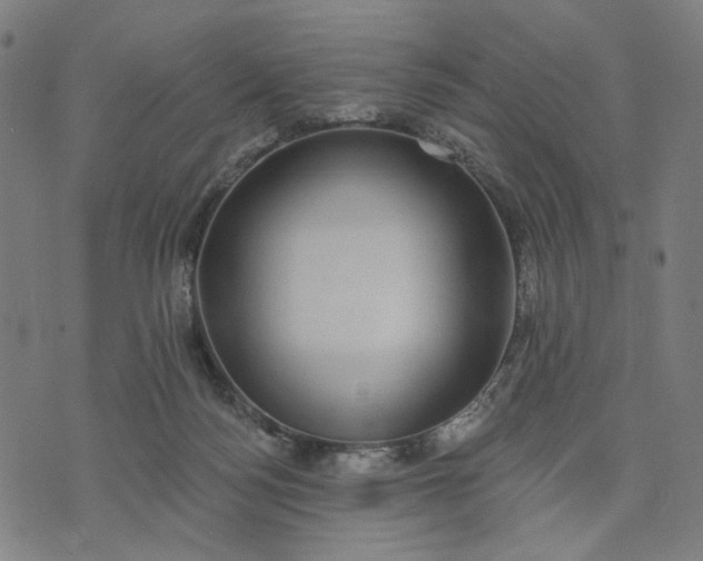 X0000074260172200609081745