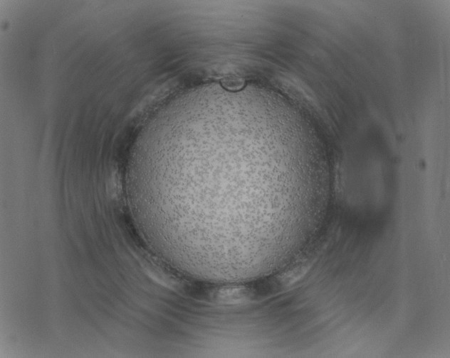 X0000074260173200609081745