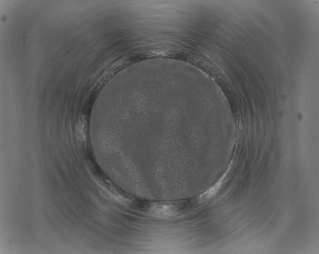 X0000074260174200609081745