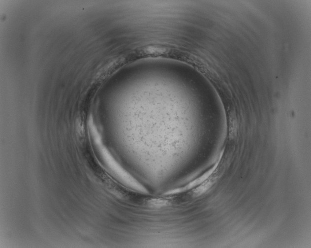 X0000074260176200609081745