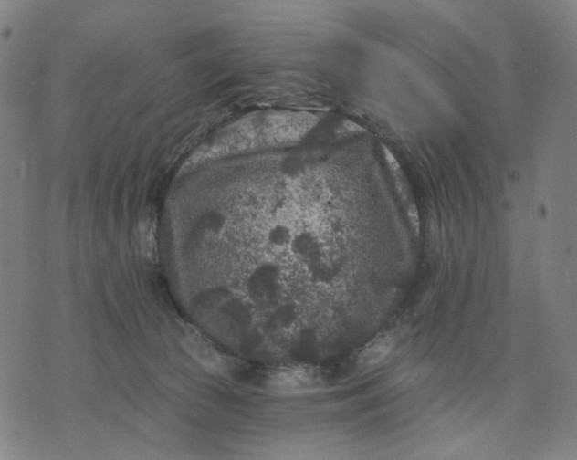 X0000074260177200609081745