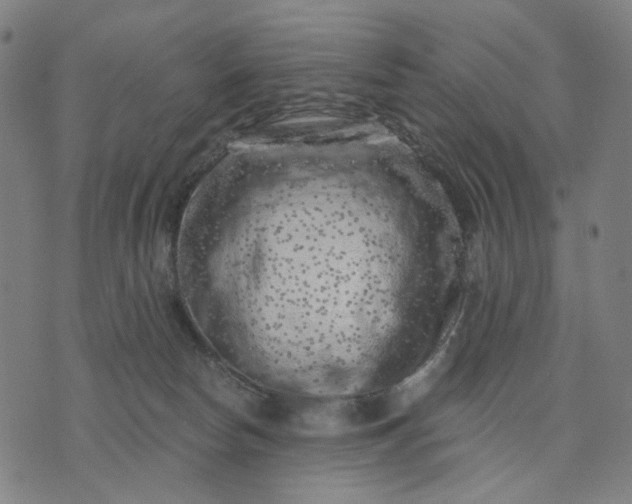 X0000074260178200609081745