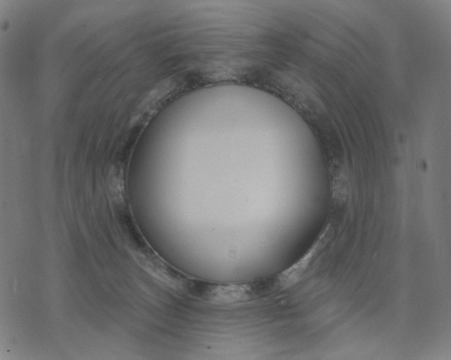 X0000074260179200609081745