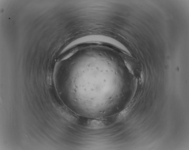 X0000074260180200609081745