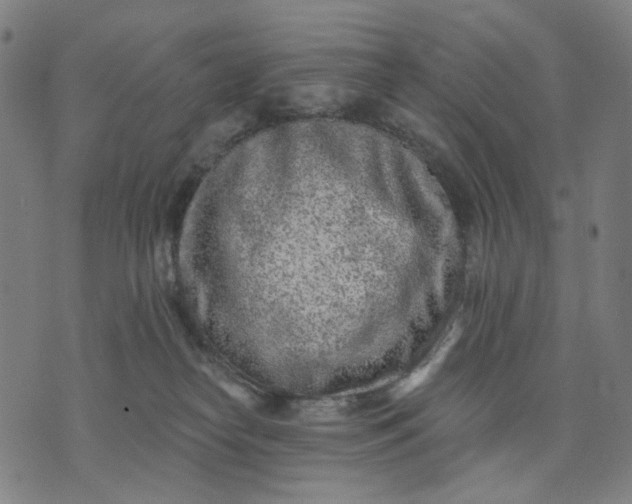 X0000074260182200609081745