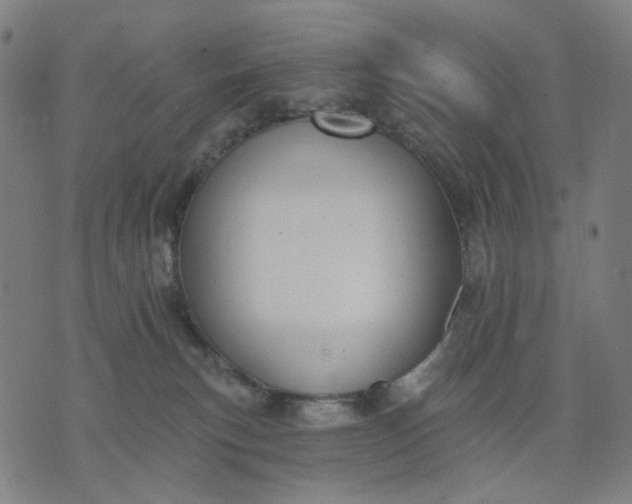 X0000074260183200609081745