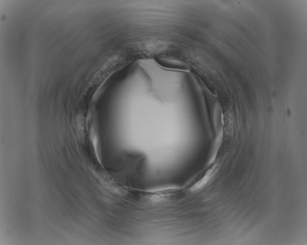 X0000074260184200609081745