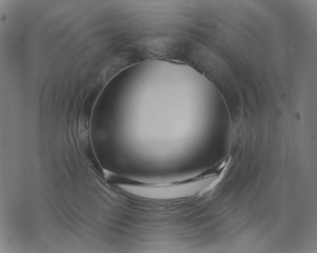 X0000074260186200609081745