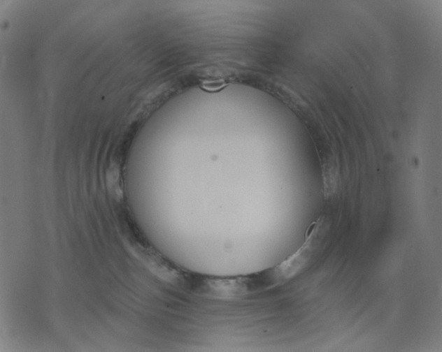 X0000074260187200609081745