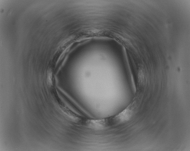 X0000074260188200609081745