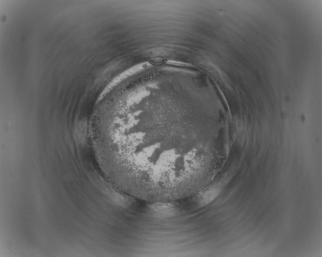 X0000074260189200609081745