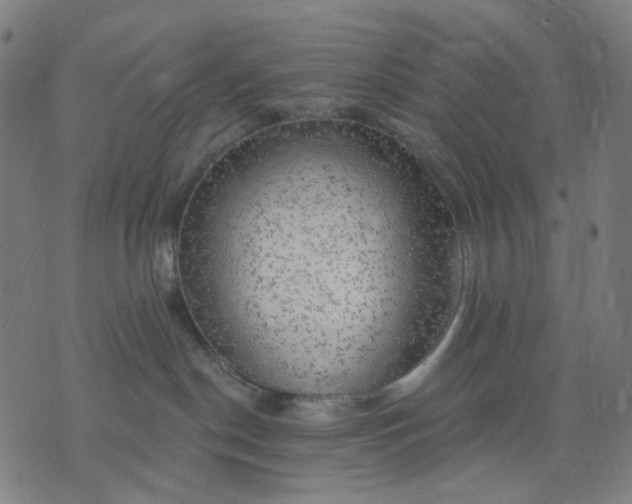 X0000074260190200609081745