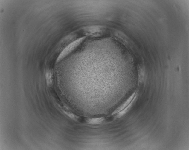 X0000074260191200609081745