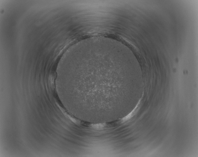 X0000074260192200609081745