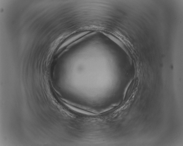 X0000074260193200609081745