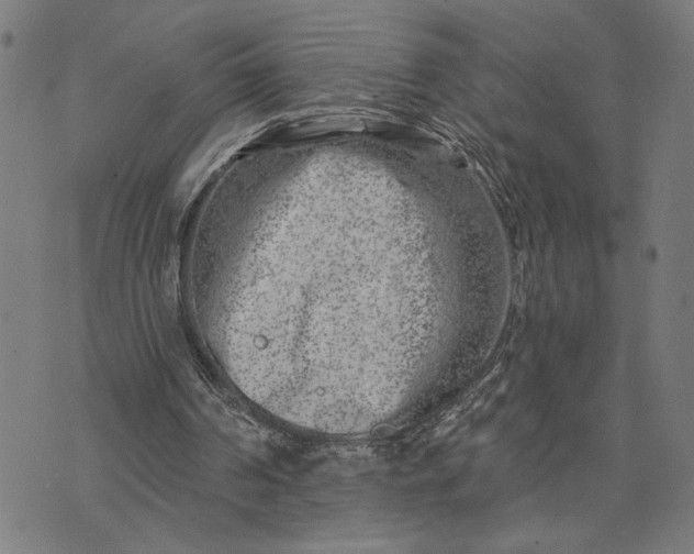 X0000074260194200609081745