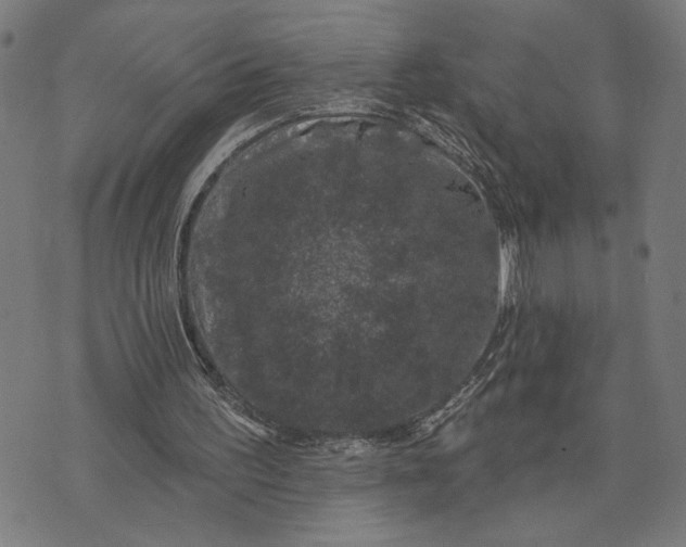 X0000074260195200609081745