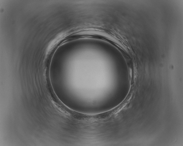 X0000074260197200609081744