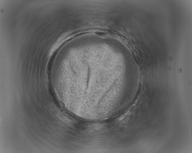 X0000074260198200609081744