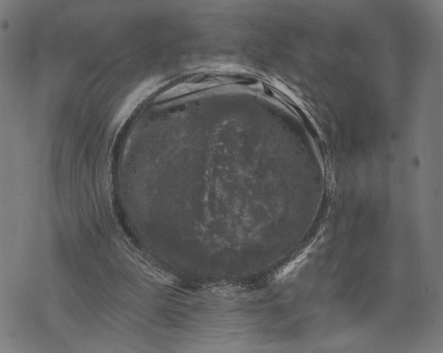 X0000074260199200609081744