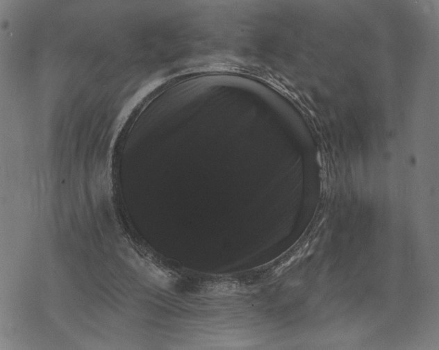 X0000074260200200609081744