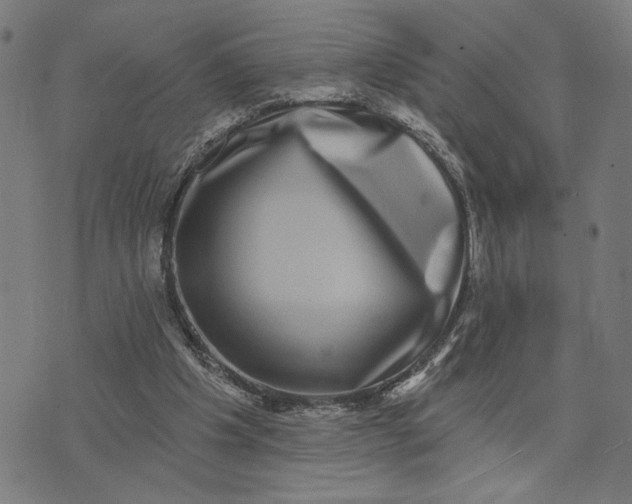 X0000074260201200609081744