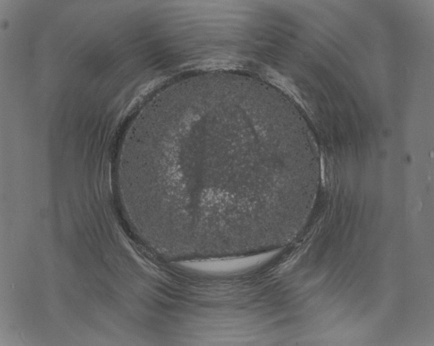 X0000074260205200609081744