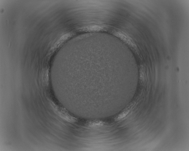 X0000074260206200609081744