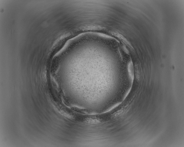 X0000074260207200609081744