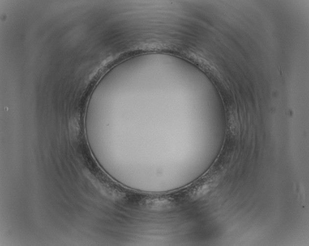 X0000074260208200609081744