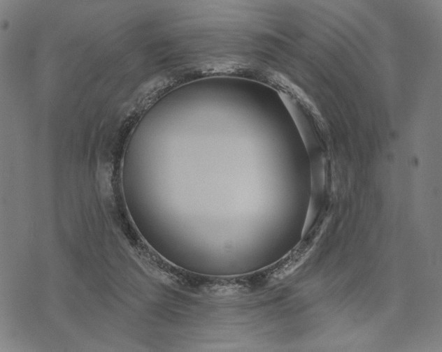 X0000074260209200609081744