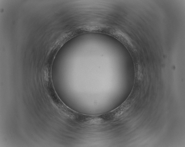 X0000074260210200609081744